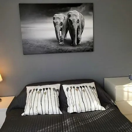 Apartment Vabaduse
